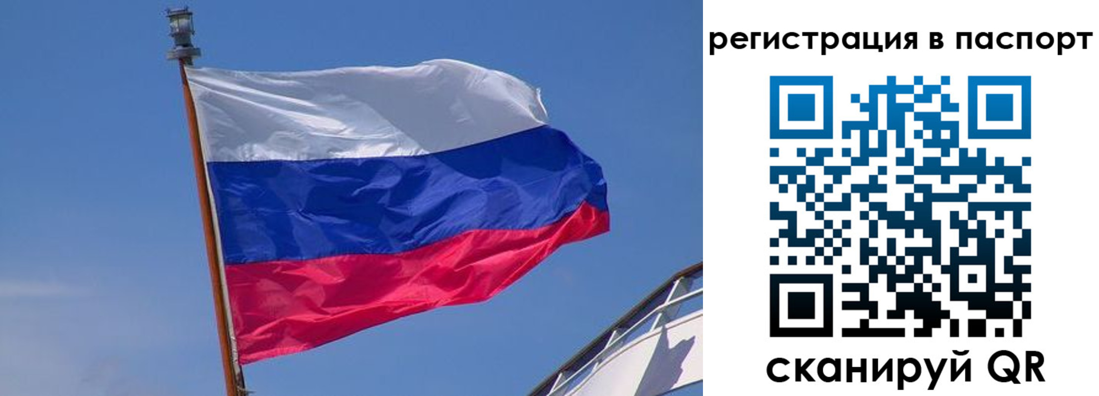прописка законно в Светлограде
